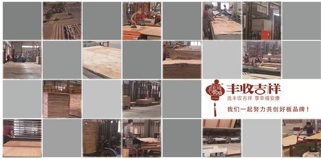2024年中品榜环保板材十大品牌榜单公布：引领绿色家居新潮流(图11)