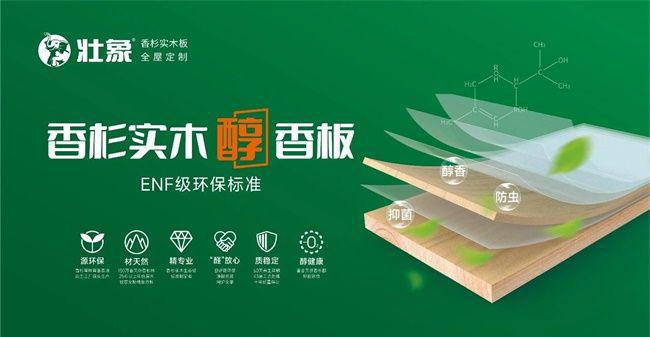 2024年中品榜环保板材十大品牌榜单公布：引领绿色家居新潮流(图2)
