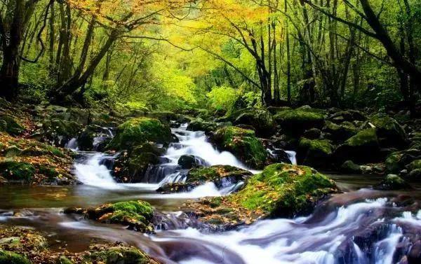 【山水好时光开云网址周末到安康】明晚！来汉江边看巴山画廊！(图7)