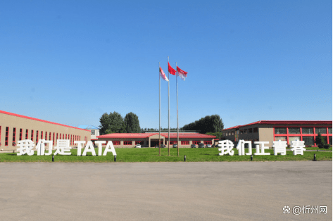 2024新品发布会来袭勘破TATA木门的“静”与“智”追求