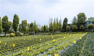 2024年中国木门市场深度调查研究报告(图7)