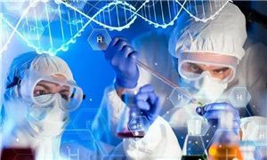 2024门窗行业发展趋势分析(图5)