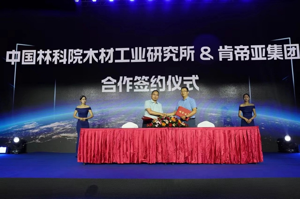 开启美好生活肯帝亚2024木门八大新品系列隆重上市(图8)