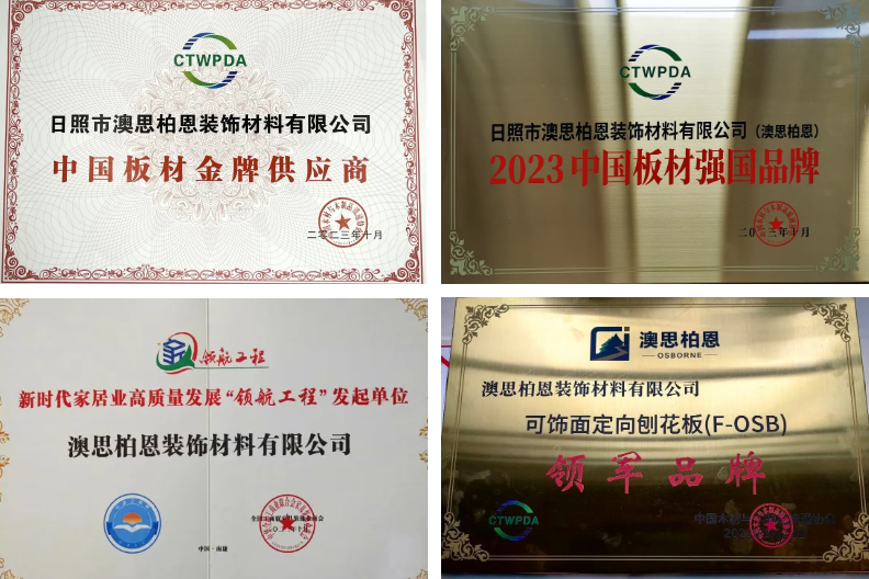 荣耀时刻丨澳思柏恩荣获2024年度「刨花板十大品牌」！(图3)