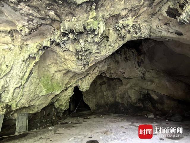 男子洞穴投药抓了60多只穴胫步甲生态隐忧待评估(图3)