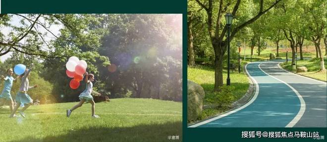 安联虹悦-青浦华新(安联虹悦)首页网站-2024最新房价＋户型图(图4)