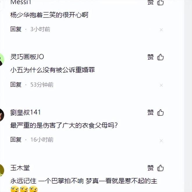 眼眶炸裂！梦真公布杨议与“小五婶”聊天记录彻底决裂伤害了谁(图12)