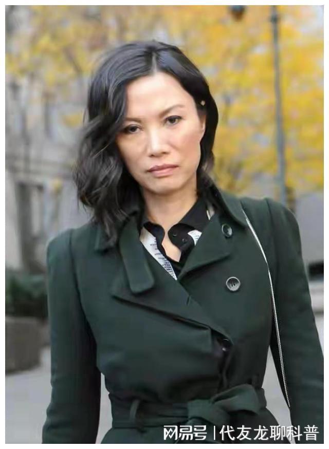邓文迪风流多情的逆袭人生：与布莱尔缠绵离婚后还套得40亿(图4)