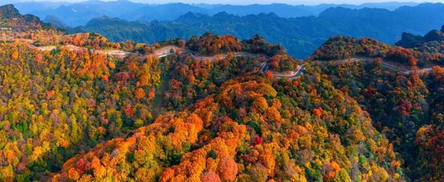 看红叶、森林跑步2024年四川省生态旅游节10月18日将在广元旺苍举行(图2)