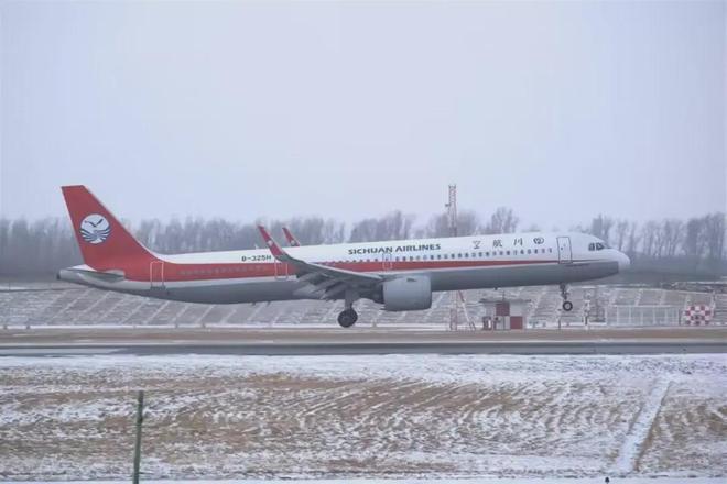 盘点2024全球十起重大空难事件(图6)