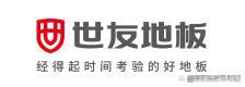 全国强化地板十大品牌年终总结(图9)