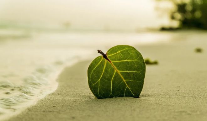 “微信门”背后的为官之思！(图2)
