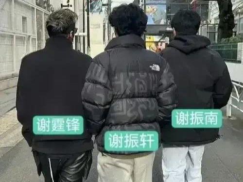 有一种“算计”叫谢霆锋与张柏芝2个孩子长大后终于苦尽甘来(图7)