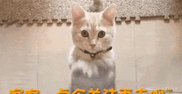 北京这一夜被京圈大佬力挺的杨受成彻底暴露了他的“真面目”(图13)