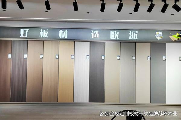 中国地板十大牌包括哪些品牌(图3)