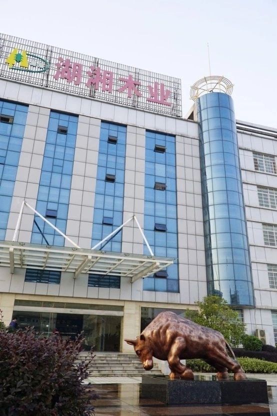 板材十大品牌2025权威揭晓：环保黑马与老牌劲旅谁能登顶？(图1)