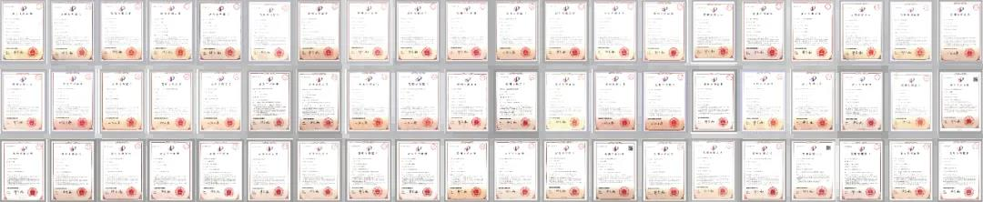 王力安防智能制造领跑行业开启智能门锁“高品低价”新阶段(图2)