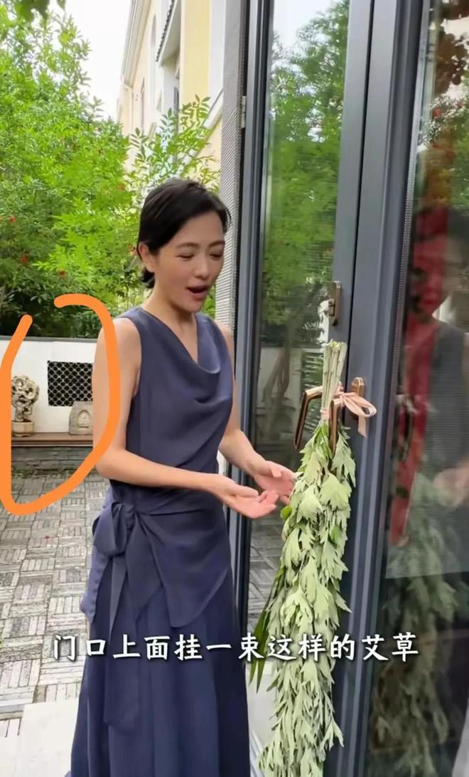 46岁前湖南台一姐杨乐乐素颜逛菜场砍价别墅庭院曝光太高级了(图2)