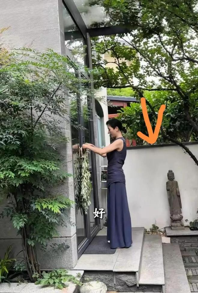 46岁前湖南台一姐杨乐乐素颜逛菜场砍价别墅庭院曝光太高级了(图3)