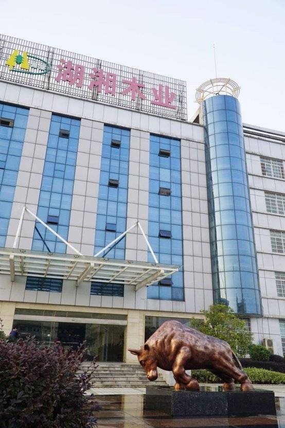 突发！2025板材十大品牌最新公布品牌竞争格局再升级！(图2)