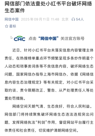 热搜榜频繁呈现不良信息内容小红书被处罚