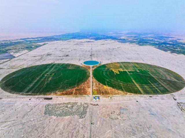 三年砸83919亿元！这一幕幕繁荣景象见证沪喀情深……(图12)