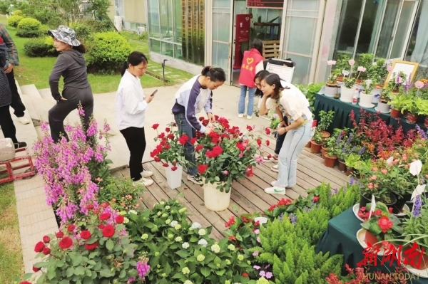 湖南日报特稿丨长沙县安沙镇:小院经济绘新景满院生辉促振兴(图2)