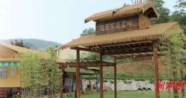 湖南日报特稿丨长沙县安沙镇:小院经济绘新景满院生辉促振兴(图3)