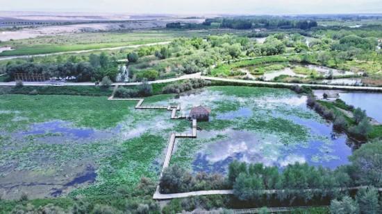 三年投入83．919亿元！这一幕幕繁荣景象见证沪喀情深……