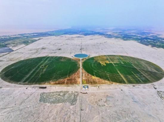 三年投入83.919亿元!这一幕幕繁荣景象见证沪喀情深……(图12)