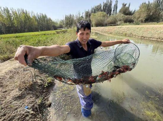 三年投入83.919亿元!这一幕幕繁荣景象见证沪喀情深……(图14)