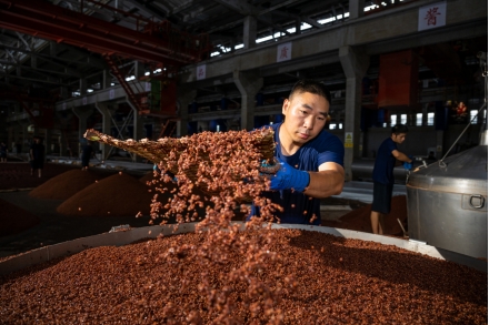 贵州珍酒新酿季开启投产44万吨稳居贵州前三