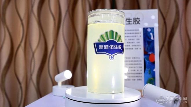 对话姜婷婷：新港集团如何以多维度创新破局木业转型(图4)