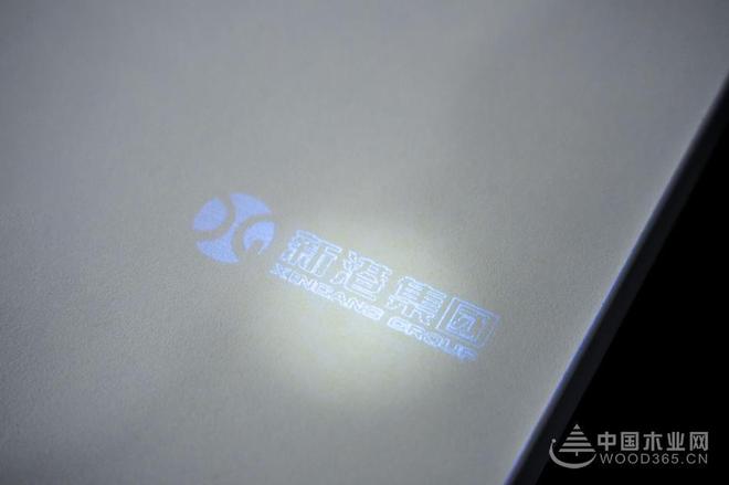 对话姜婷婷：新港集团如何以多维度创新破局木业转型(图5)