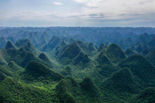 2025年世界林木业大会将于11月21日在广西南宁开幕