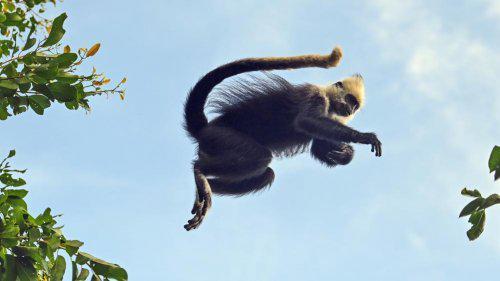 2025年世界林木业大会将于11月21日在广西南宁开幕(图2)