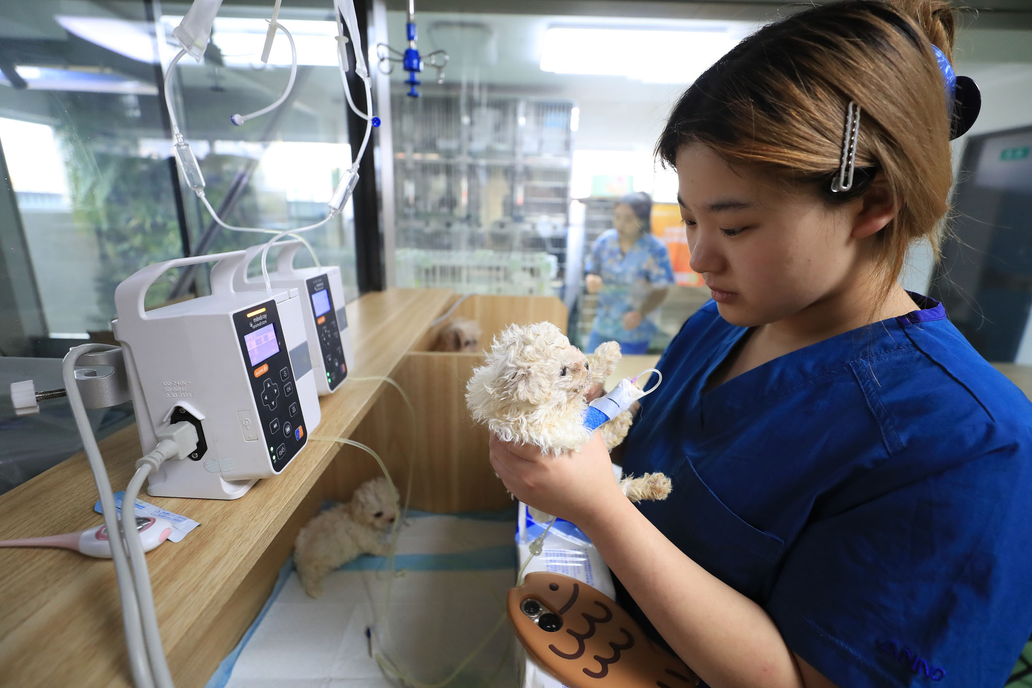 “吸睛”又“吸金”千亿宠物经济赛道火热