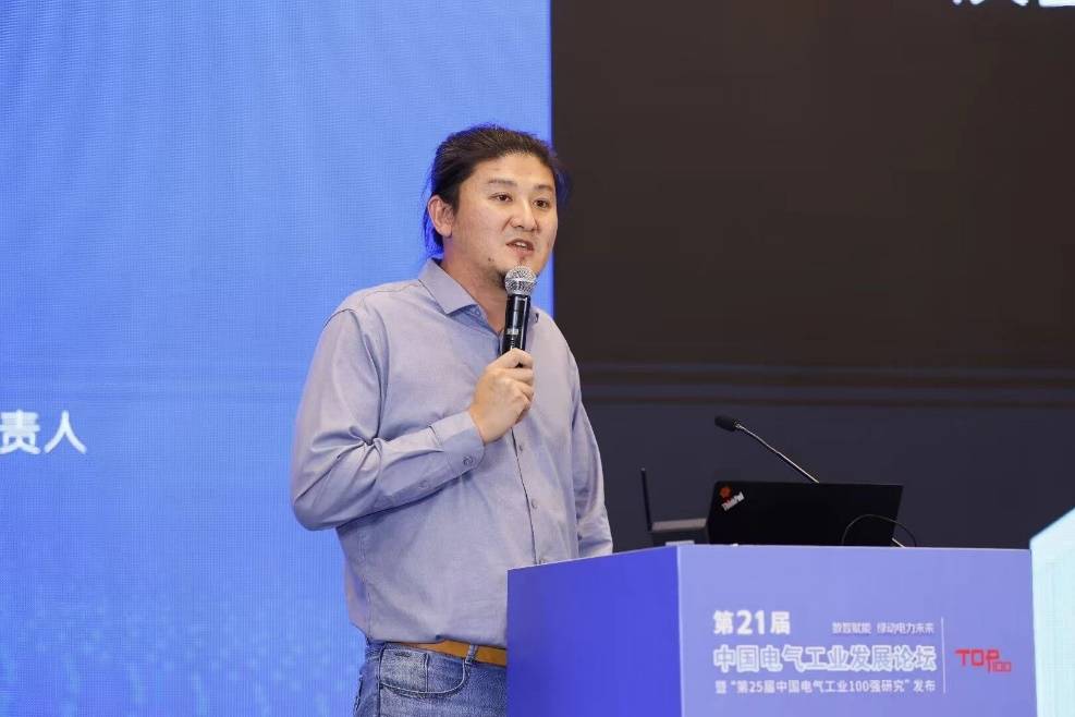 低压电气国产品牌唯一绿色低碳解决方案TOP10德力西电气三奖领跑!(图7)