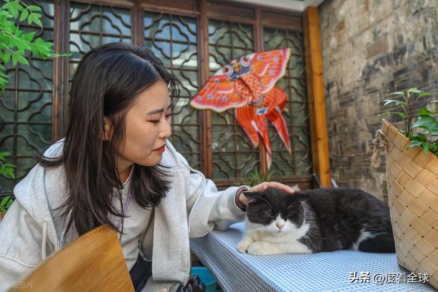 单日63万人挤爆！平江路凭双棋盘格局解锁江南水乡新打开方式(图8)