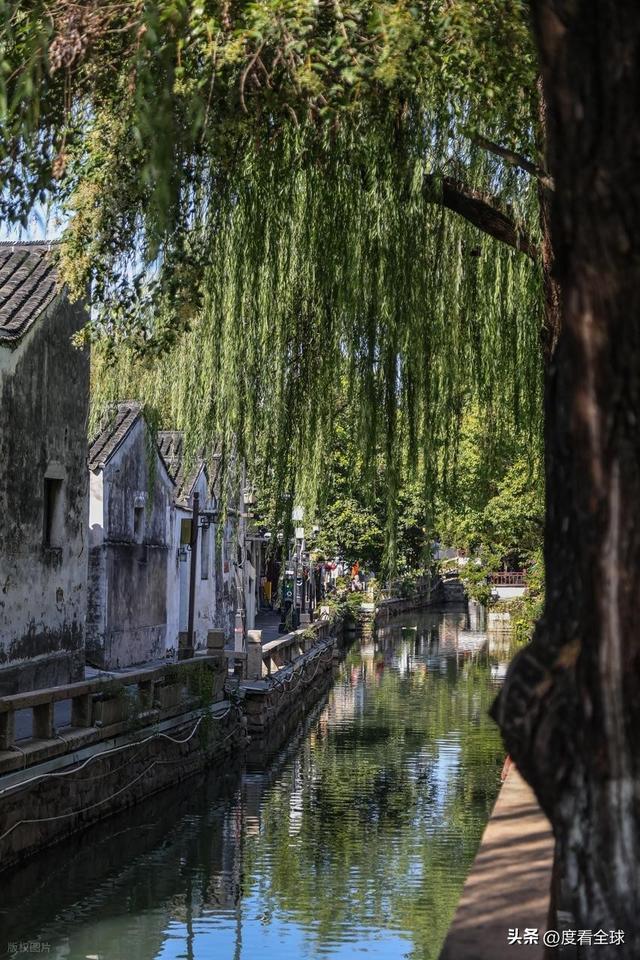 单日63万人挤爆！平江路凭双棋盘格局解锁江南水乡新打开方式(图14)