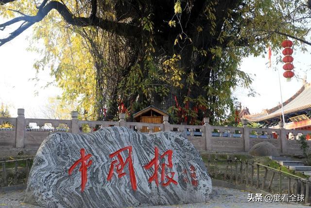 金槐染晋南！六百年移民史诗洪洞大槐树藏着亿万人的根！(图13)