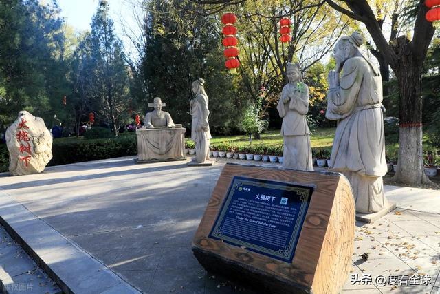 金槐染晋南！六百年移民史诗洪洞大槐树藏着亿万人的根！(图12)