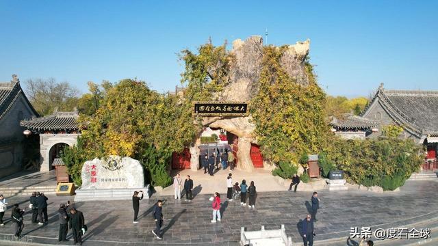 金槐染晋南！六百年移民史诗洪洞大槐树藏着亿万人的根！(图15)