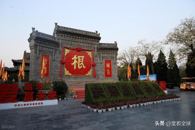 金槐染晋南！六百年移民史诗洪洞大槐树藏着亿万人的根！(图17)