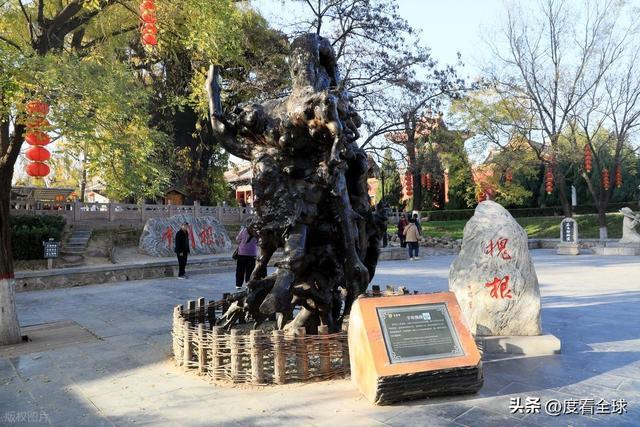 金槐染晋南！六百年移民史诗洪洞大槐树藏着亿万人的根！(图20)