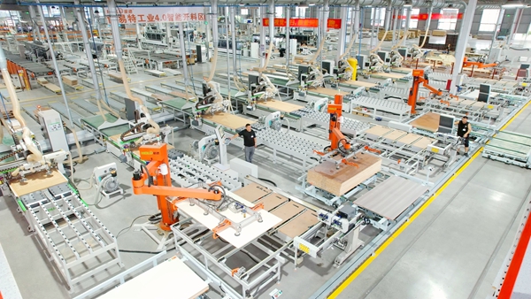 港南区：林长制激发木业产业新动能(图2)