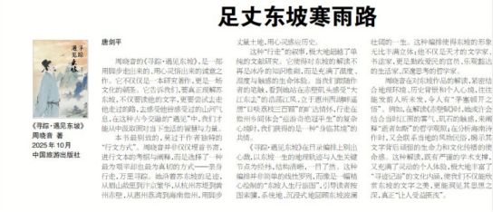 从80余万的点击量到高校讲堂：一场跨越千年的“东坡热”为何被我们“追”到了？(图2)