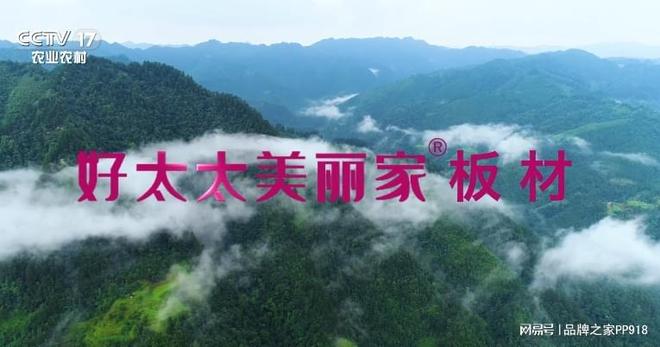 权威背书荣耀绽放!好太太美丽家荣登央视双频道展播(图4)