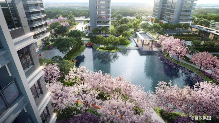 苏州高铁新城核心资产!和风雅信和风雅信花园日系精工大宅户型地址周边配套价格售楼处开发商双世界500强联袂(图5)