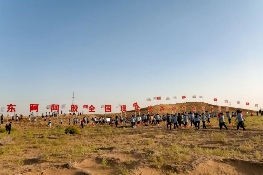 三十而立守初心赓续血脉启华章——东阿阿胶上市30周年发展纪实(图7)